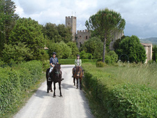 Italy-Tuscany-Chianti Hills Explorer